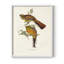 Impression encadrée Elegant Trogons II - bois massif-1315246331-1315246332
