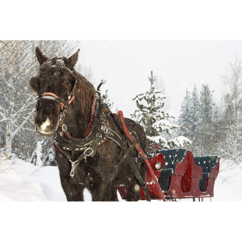 Horse Drawn Sleigh In Snow by FangXiaNuo - No Frame Art Prints on Canvas, 61cm H x 91cm W