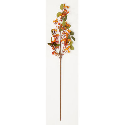 Vaporisateur 31 "baies d'automne