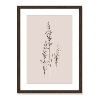 Delicate Stems I by Carol Robinson - Single Picture Frame Print -  Birch Lane™, 70976ED0F5A7433F84089CF136E224BD