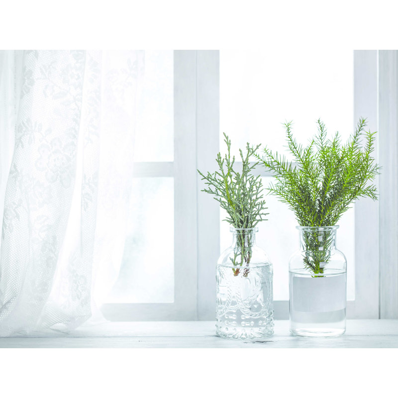 " Greenery On Window Sill ", 12" H x 16" W