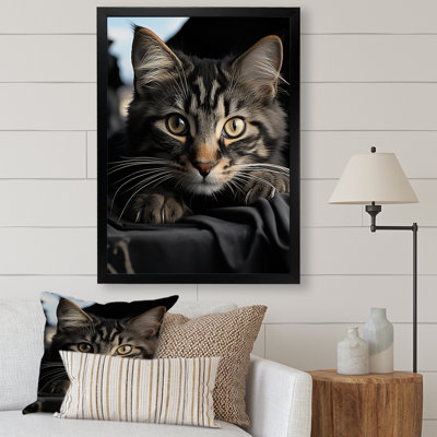 Atascosa " Cat Portrait IV "