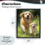 Cadre flottant père et fils Labrador, design par Momart-816654167-816654166