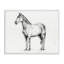 Cheval dans un cadre gris, estampe numérique, design par Leah Noel Art-133658529-133658540
