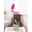 Vase Ivy Bronx Lustrewave