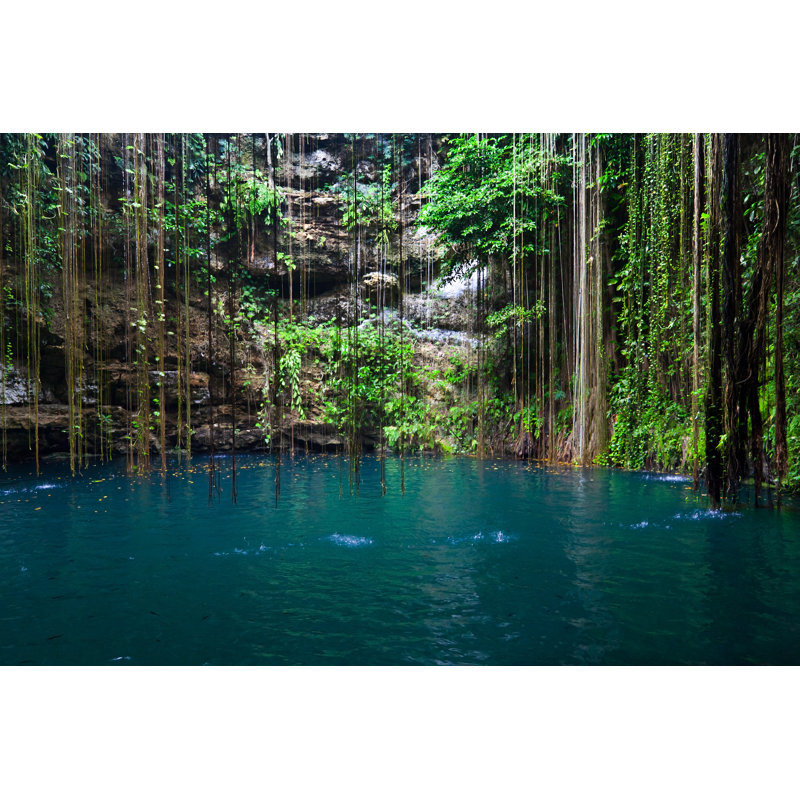 Cenote Ik-Kil, Mexico - Wrapped Canvas Print, 81cm H x 122cm W x 3.8cm D