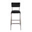 Waylon 30 in. Seat Height Leather and Iron Bar Height Stool with Back and Footrest-171709289