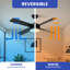 Latryce 48" Ceiling Fan with LED Lights