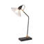Himanshee Adjustable Metal Desk Lamp