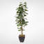 Faux Fiddle Leaf Fig Tree in Metal Planter