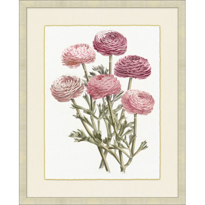 Blush Florals 3 Painting