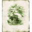 Evergreen V Print by Zoey Riley-26936950-26936954