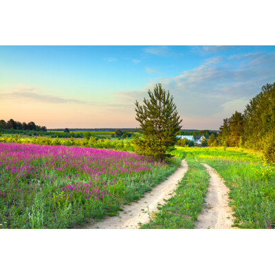 Summer Rural Landscape with a Blossoming Meadow, Road and a Farm 1 Piece Wrapped Canvas Wall Art