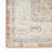 Nourison Essentials Persian Beige/Blue Indoor/Outdoor Area Rug-1140383251