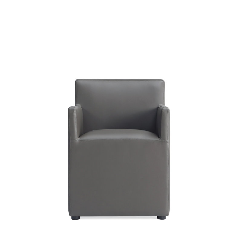 Dirk Arm Chair, 1, Pewter