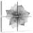 Harnek Lotus Flower X Ray-109119114