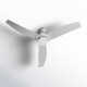 Carly 60'' Ceiling Fan with LED Light Kit