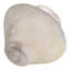 Vase en verre Contemporary-117515390