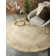Moore Oriental Indoor Rug