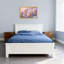 Plantes et fleurs Fleurs pastel flou artistique printemps-646601799-646601797-646601798
