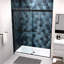 Porte de douche en verre trempé 5/16 po Bypass-118630750