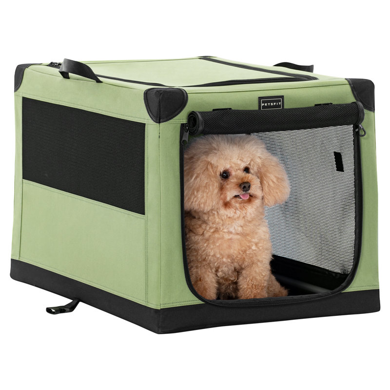 Dasinger Collapsible Soft-Sided Crate with 3 Doors, Large (23" H x 36" W x 24" D), Green