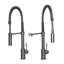 Sierra Pull Down Single Handle Kitchen Faucet with Side Spray and Accessories-1445240755