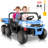 Delia Himimi 24 Volt 2 Seater All-Terrain Vehicles Battery Powered Ride On Toy with Remote Control-91357748