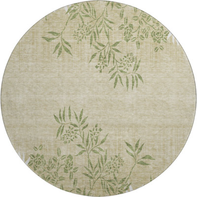 Premium Machine Washable Prisco Khaki Rug