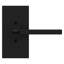 Satin Black Entry Door Lever