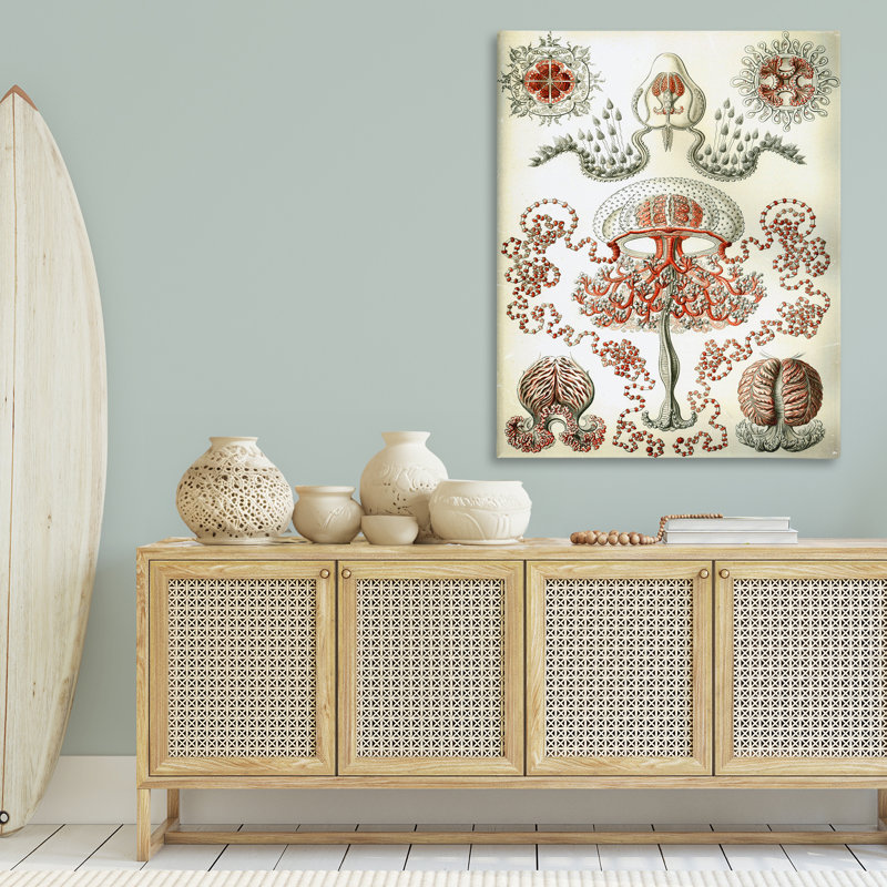  Art classique classique sur toile, "Haeckel" par Graffi *ee Studios, H 48 po x l 36 po