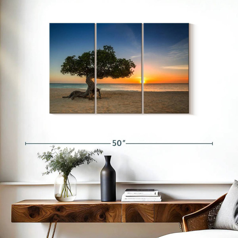 Arbre Aruba Divi Divi, H 24 po x l 38 po
