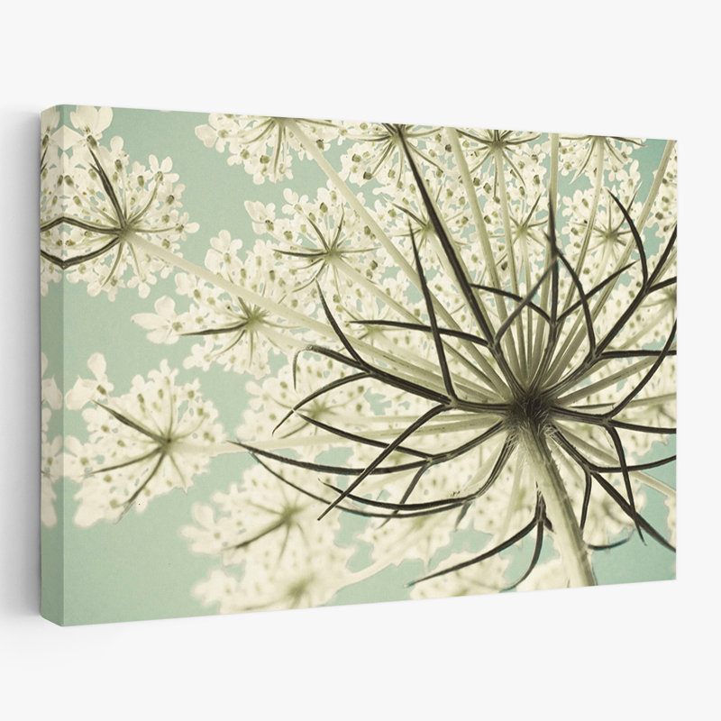 Plantes, fleurs, dentelle de ciel, impression sur demande, art mural, H 16 po x l 24 po