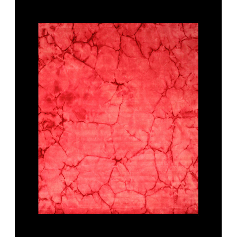 Sarrah Giselle Pink Hand Knotted Wool Area Rug, Rectangle 3' x 5'