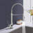 Topcraft Single-Handle Single-Hole Pull-Down Kitchen Faucet-69763890
