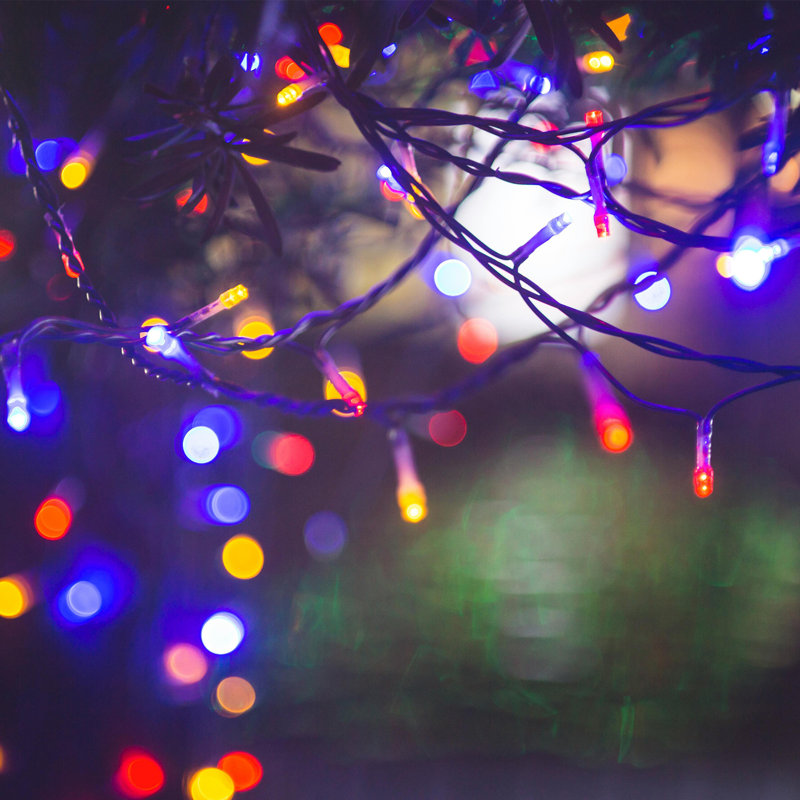 Guirlande lumineuse féerique à DEL 98 pi, Multicolore