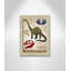 Adhésif décoratif dinosaures-03 '-47836233-47836221