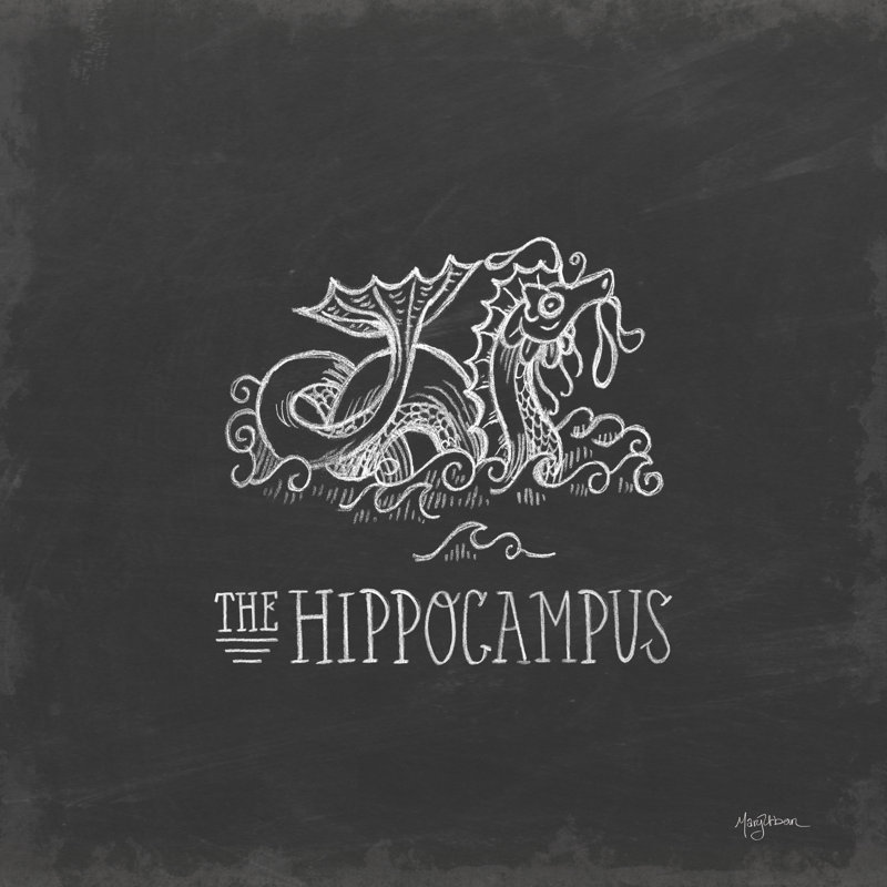 Mythical Map IV - Wrapped Canvas Print, 30cm H x 30cm W