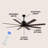 66'' Ceiling Fan with LED Lights-453944122