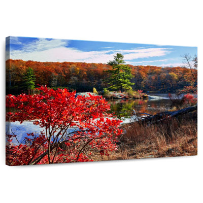 Alvord Little Island Surrounded With Fall Colors