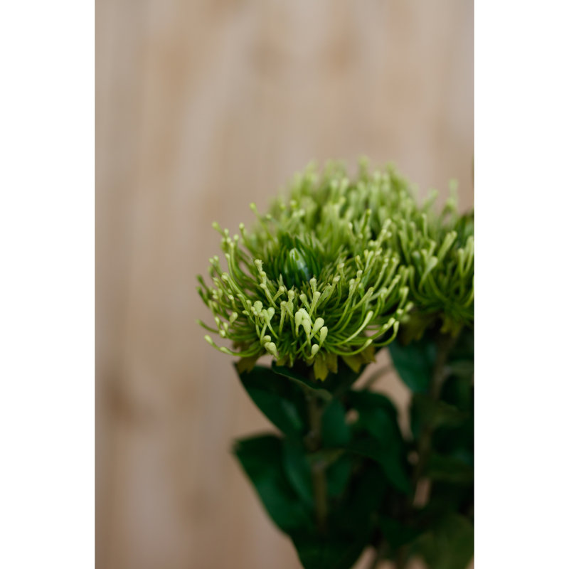 Arrangement, Green