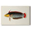 Collection Tropical Fish IV - Cavas enveloppés de galerie-62176846