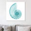 Turquoise Sea Shell - Wrapped Canvas Print-1616621495