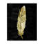 Plume courbée sur toile noire, design par Kim Allen-1059268749