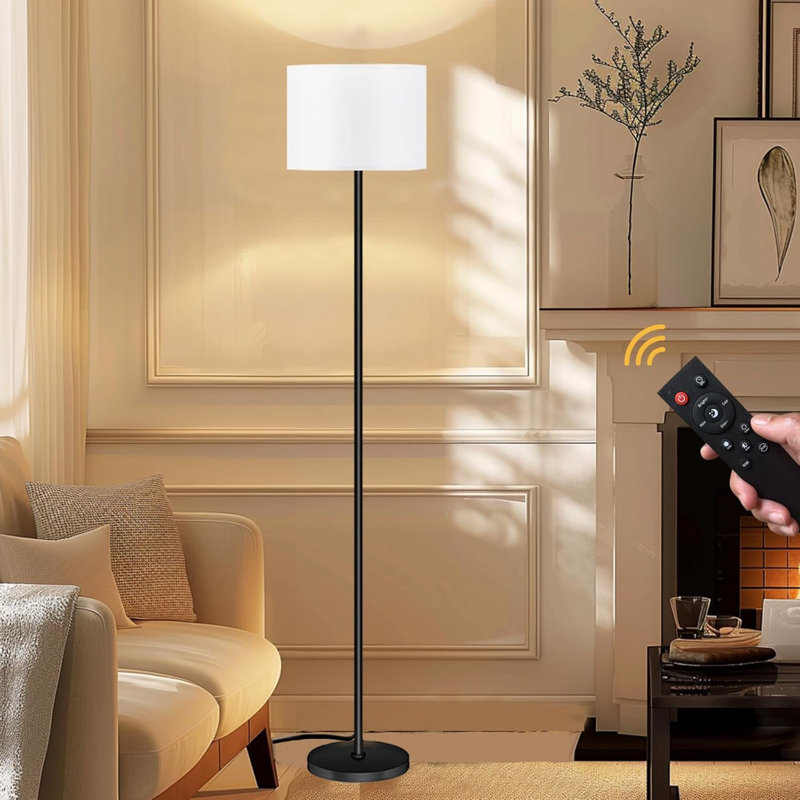 Lampe sur pied moderne avec télécommande, lumière à DEL continue à intensité variable, ampoule de 9 W incluse, température de couleur et luminosité réglables, lampe sur pied de 60,6 po de hauteur pour le salon, la chambre à coucher et le bureau