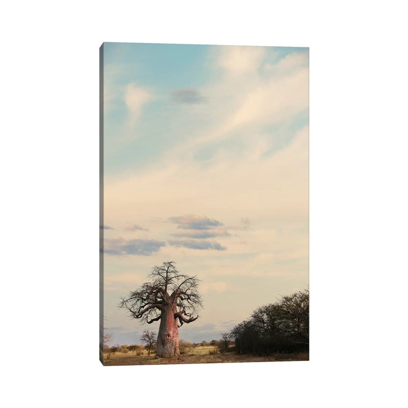 Naye Naye Baobab III 1 Piece Wrapped Canvas Wall Art, 20.32 cm H x 30.48 cm W