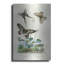 «Papillons - Parnassie» par August Licensing Studio