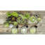 Handmade Earthenware Salad Bowl