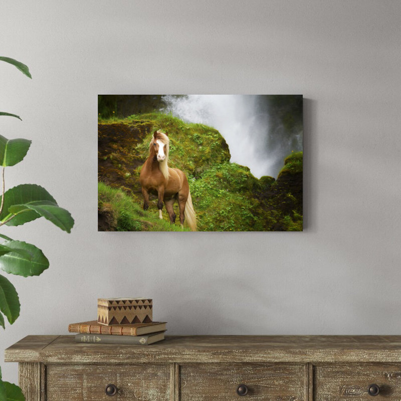 Collection of Horses I par PHBurchett - Photographie sur toile tendue, H 20 po x l 30 po