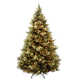 The Holiday Aisle® Carolina Pine Tree with Clear Lights